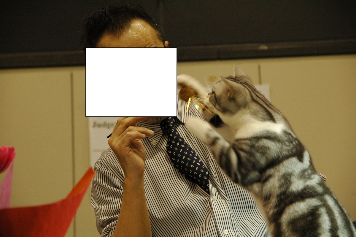 f:id:hiro19730730:20190531121155j:plain