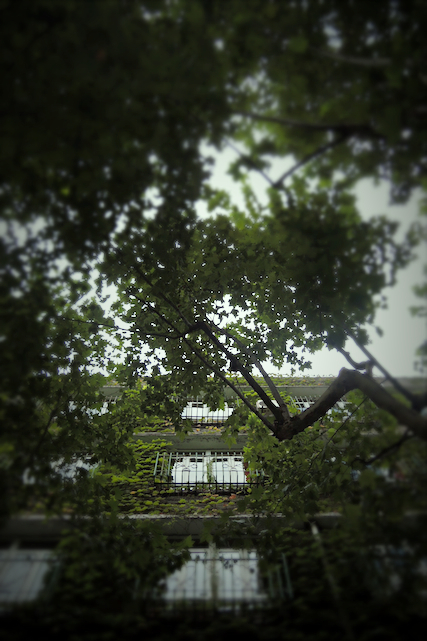 f:id:hiro2003t:20141028042029j:plain