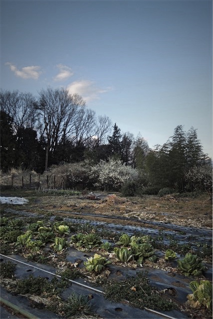 f:id:hiro2003t:20170227212833j:plain