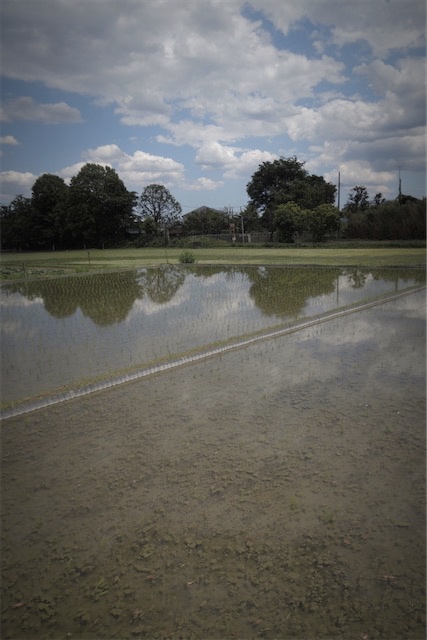 f:id:hiro2003t:20170607220225j:plain