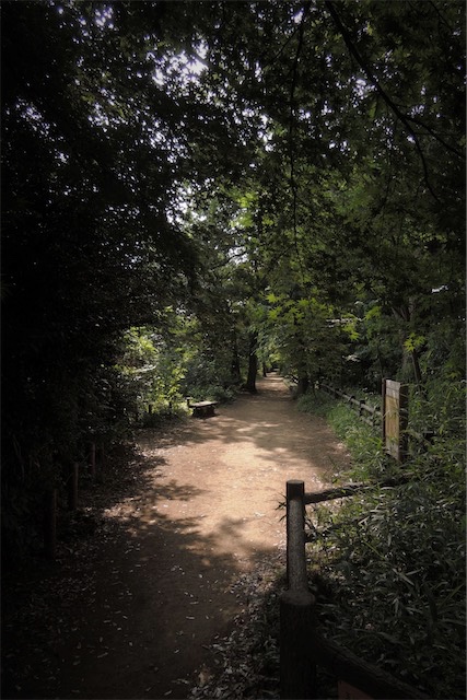 f:id:hiro2003t:20170611105637j:plain f:id:hiro2003t:20170611105637j:plain