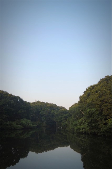 f:id:hiro2003t:20170708072710j:plain