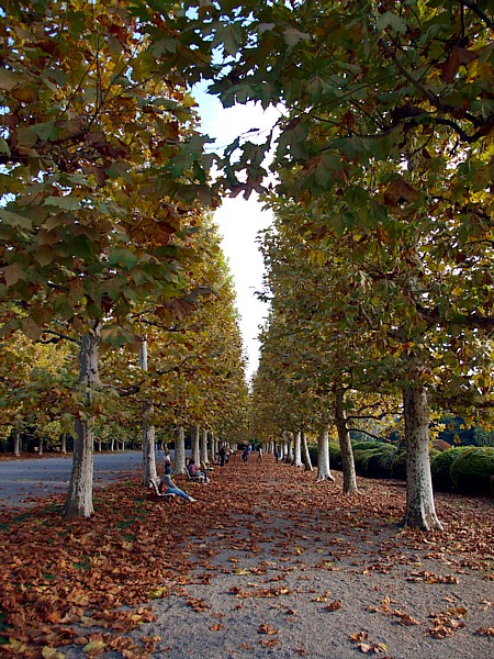 f:id:hiro2003t:20171201234931j:plain