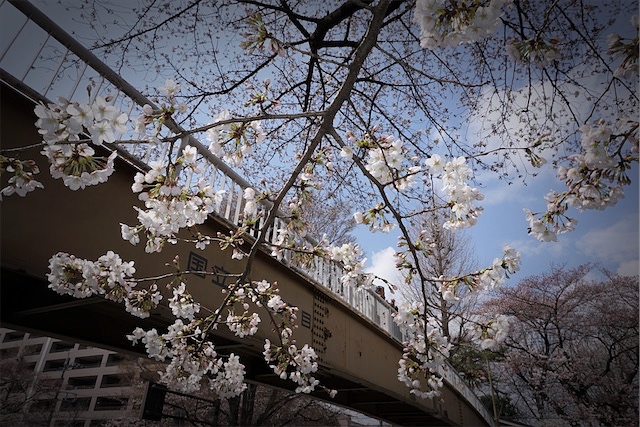 f:id:hiro2003t:20180324150144j:plain