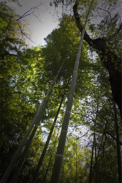 f:id:hiro2003t:20180401153931j:plain