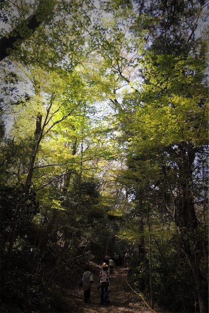 f:id:hiro2003t:20180401153938j:plain