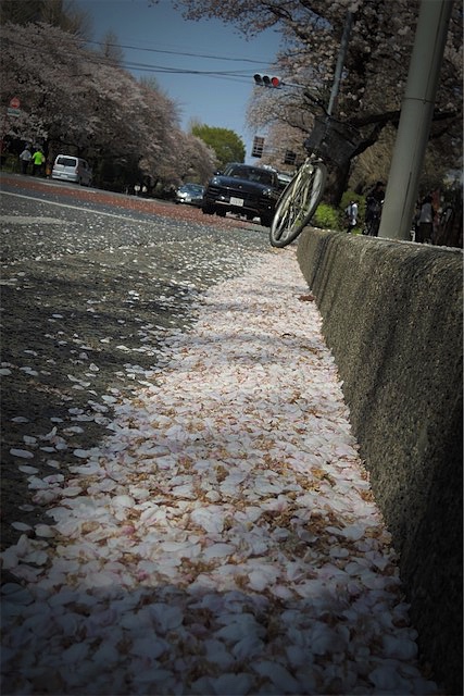 f:id:hiro2003t:20180401153944j:plain