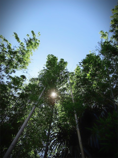 f:id:hiro2003t:20180603142212j:plain