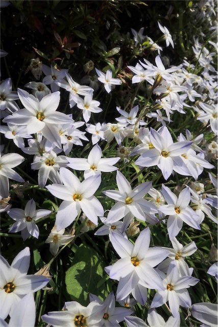 f:id:hiro2003t:20190421153402j:plain