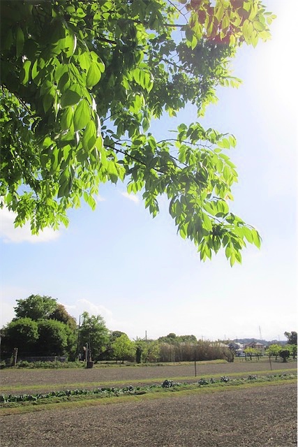 f:id:hiro2003t:20190502152419j:plain