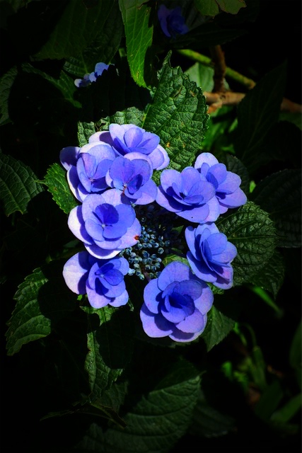 f:id:hiro2003t:20190616162914j:plain