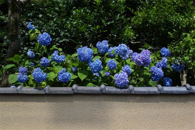 f:id:hiro2003t:20190616164100j:plain