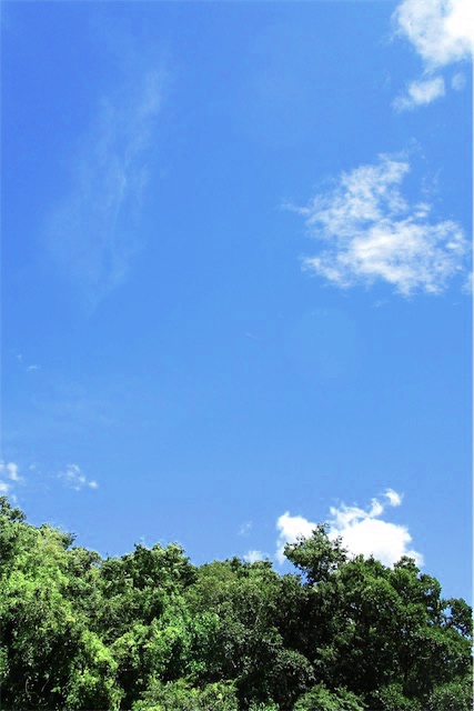 f:id:hiro2003t:20190616164120j:plain