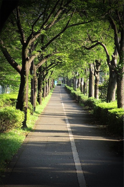 f:id:hiro2003t:20190817095156j:plain