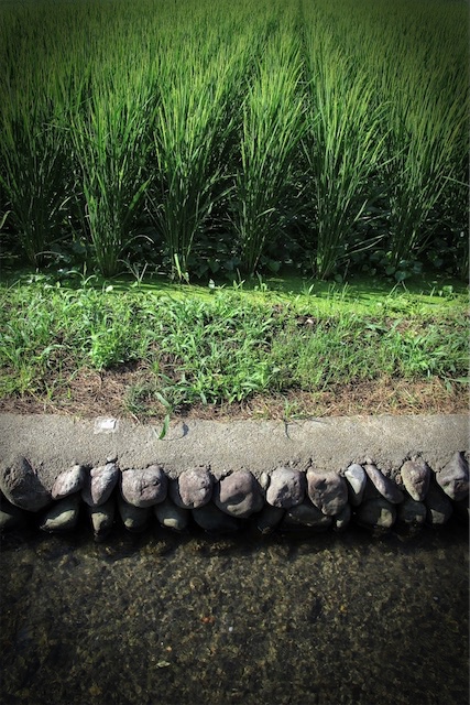 f:id:hiro2003t:20190817095220j:plain