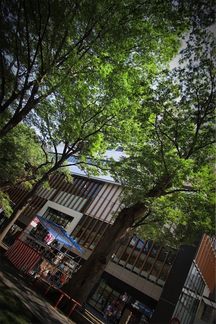 f:id:hiro2003t:20190825153328j:plain
