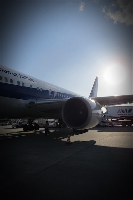 f:id:hiro2003t:20191117192945j:plain f:id:hiro2003t:20191117192945j:plain