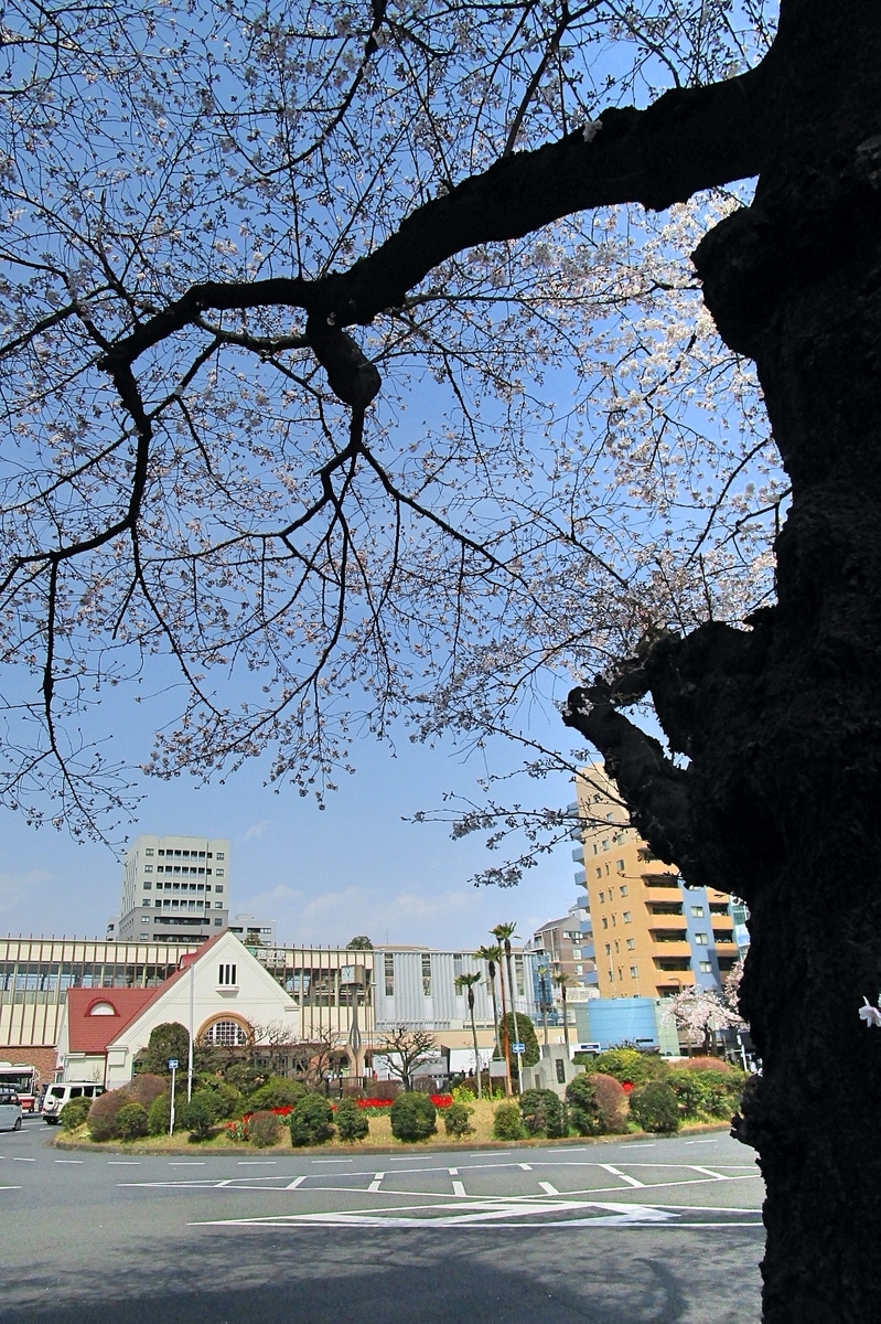 f:id:hiro2003t:20200322143516j:plain