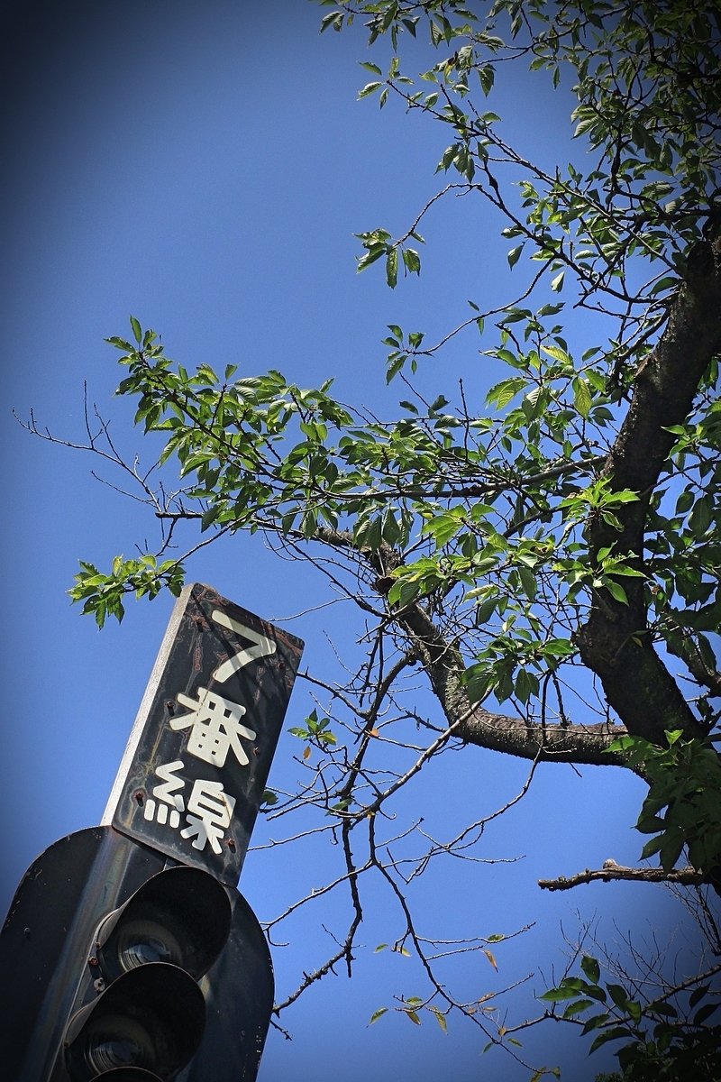 f:id:hiro2003t:20200719130950j:plain