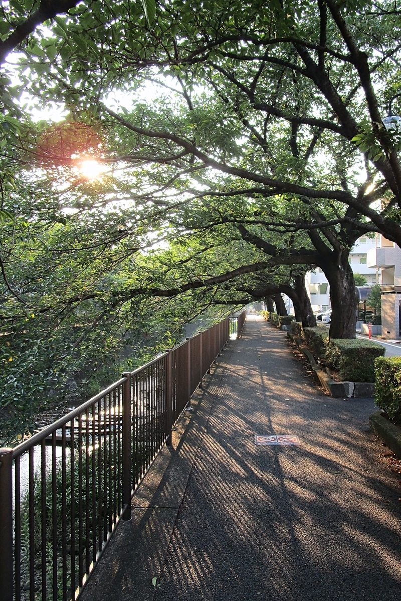 f:id:hiro2003t:20200815150657j:plain