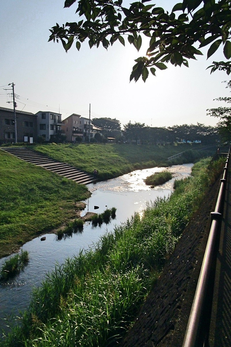 f:id:hiro2003t:20200815150716j:plain
