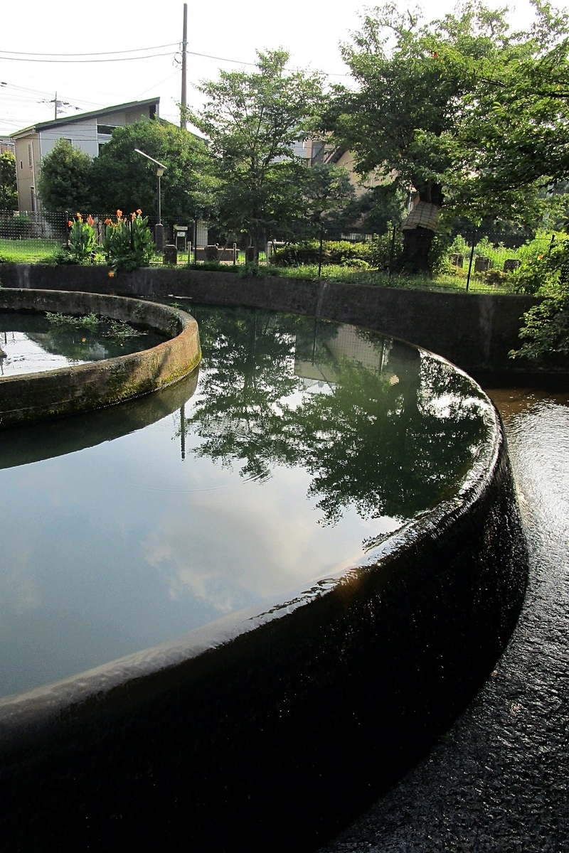 f:id:hiro2003t:20200815150748j:plain