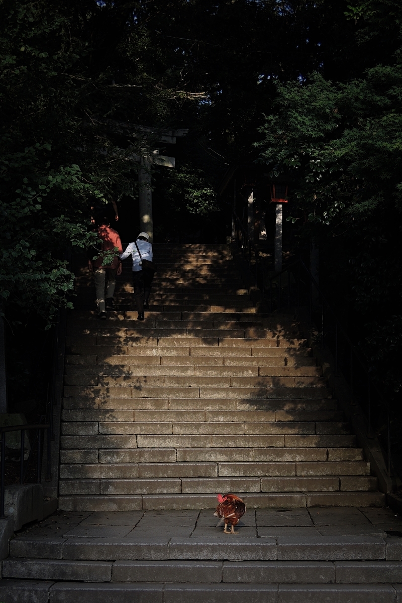 f:id:hiro2003t:20200927170511j:plain
