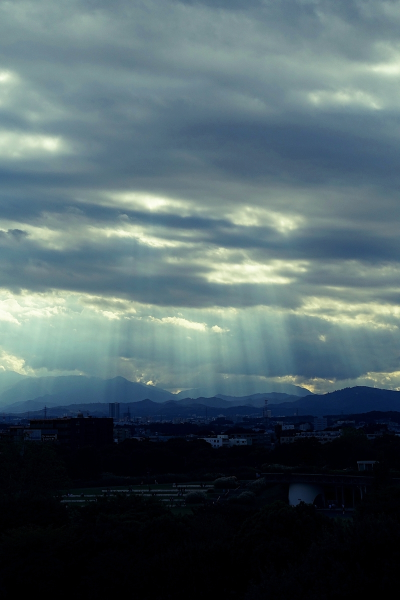 f:id:hiro2003t:20201024170738j:plain