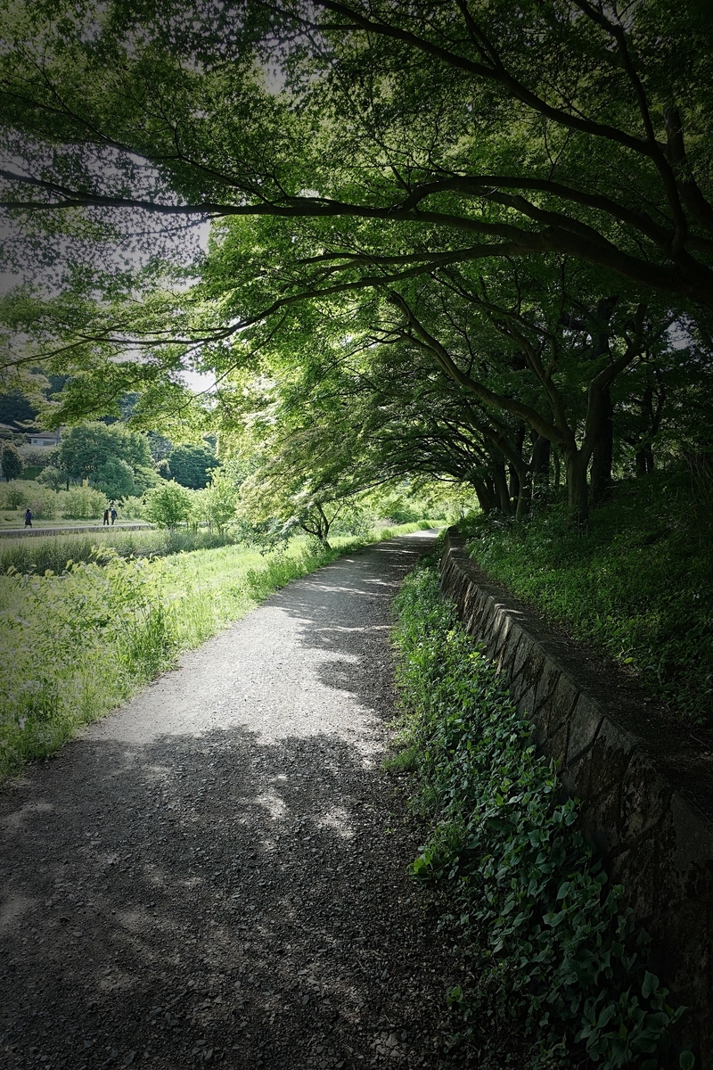 f:id:hiro2003t:20210504112047j:plain