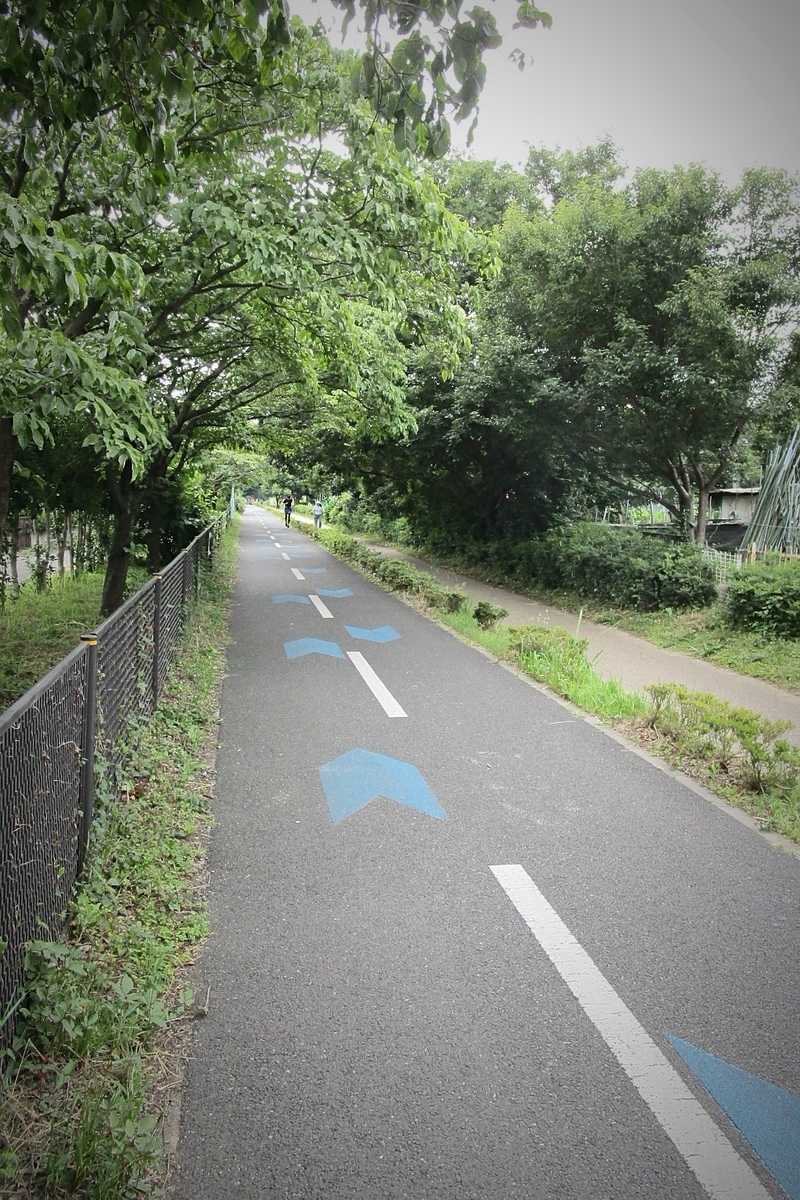 f:id:hiro2003t:20210612132801j:plain