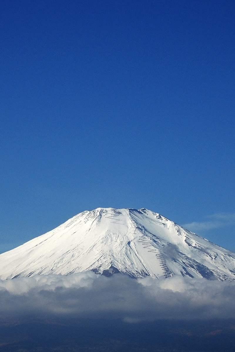 f:id:hiro2003t:20211231180659j:plain