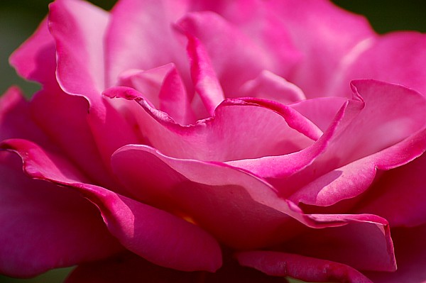 f:id:hiro2003t:20220112140633j:plain