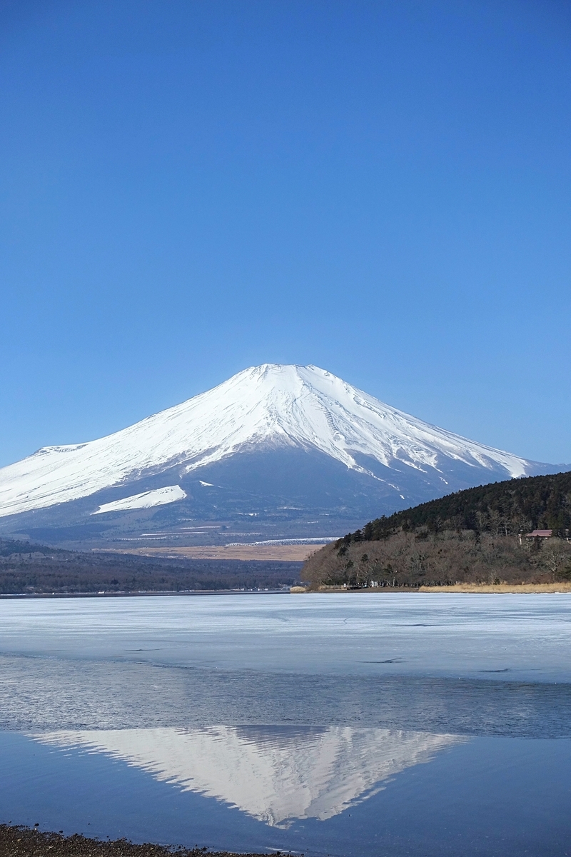 f:id:hiro2003t:20220305124547j:plain