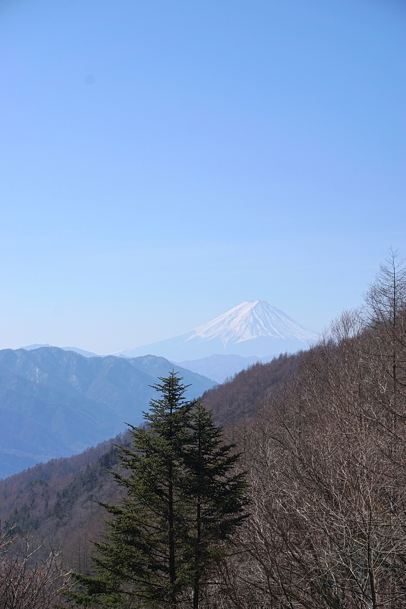 f:id:hiro2003t:20220313045356j:plain