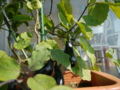 20101014125358