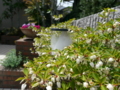20110502105135