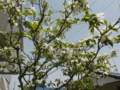20110502105905