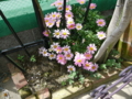 20110502110326
