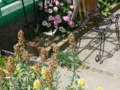 20110502110450