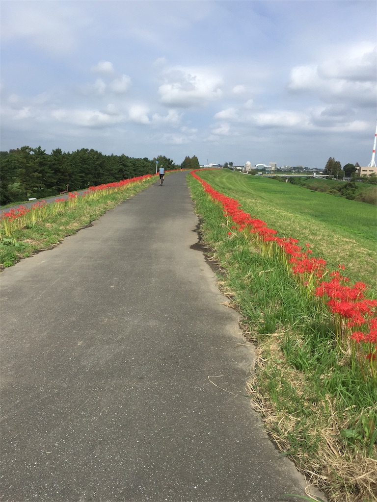 f:id:hiro4312:20180918211938j:image