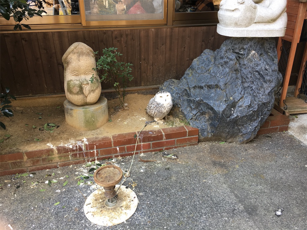 f:id:hiro805151:20170320100954j:image f:id:hiro805151:20170320100954j:image