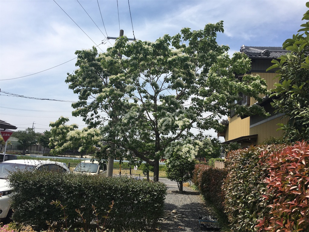 f:id:hiro805151:20190515221355j:image f:id:hiro805151:20190515221355j:image
