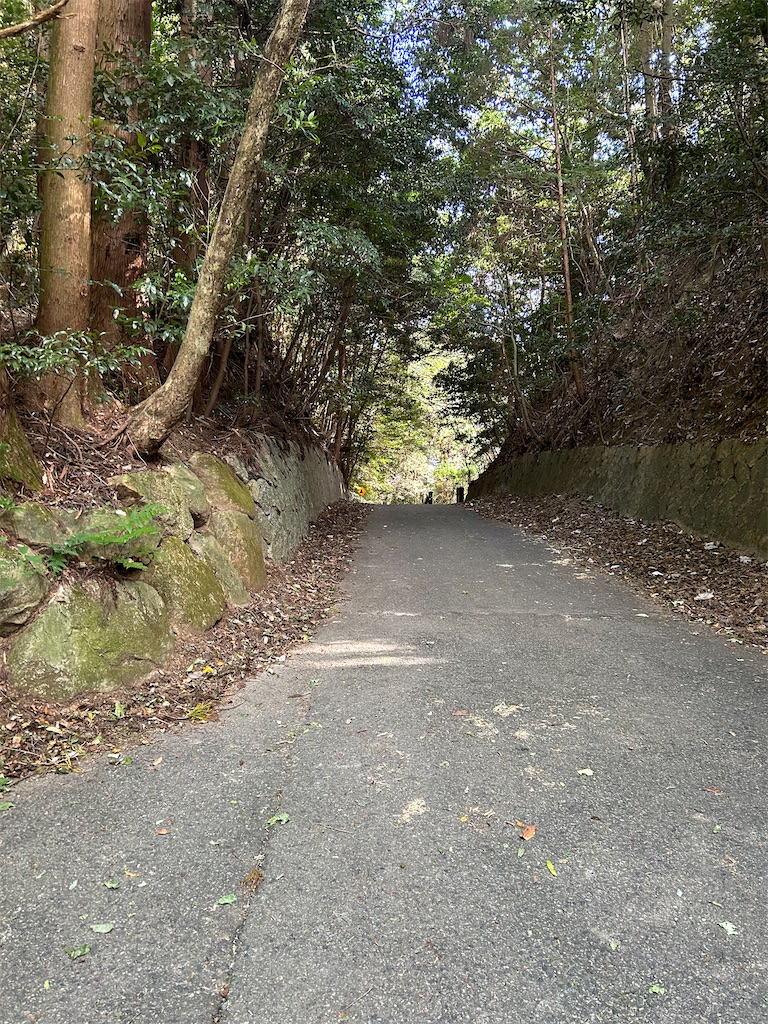 f:id:hiro805151:20231009170747j:image f:id:hiro805151:20231009170747j:image