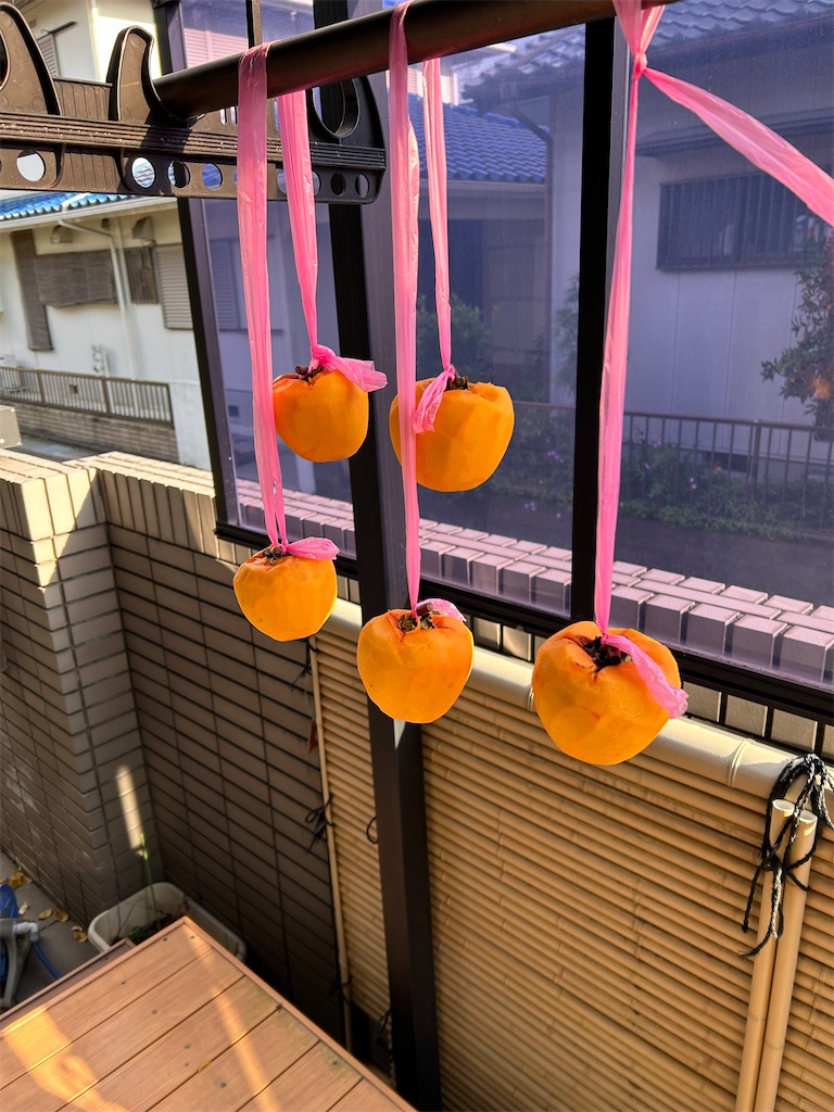 f:id:hiro805151:20231211165755j:image f:id:hiro805151:20231211165755j:image