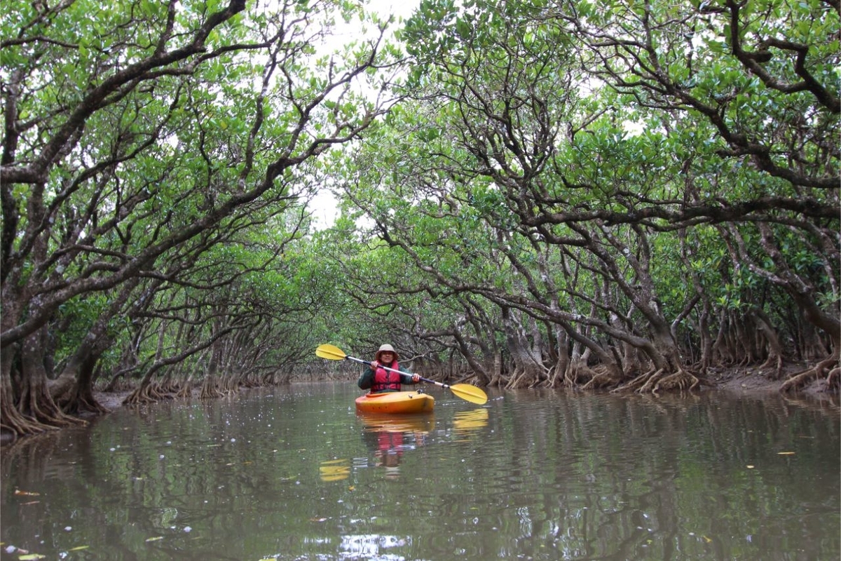 f:id:hiro81p:20190605163641j:plain f:id:hiro81p:20190605163641j:plain