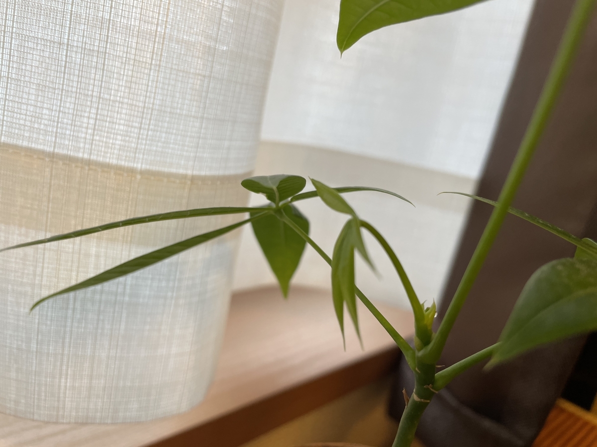 f:id:hiro9332:20210124080359j:plain