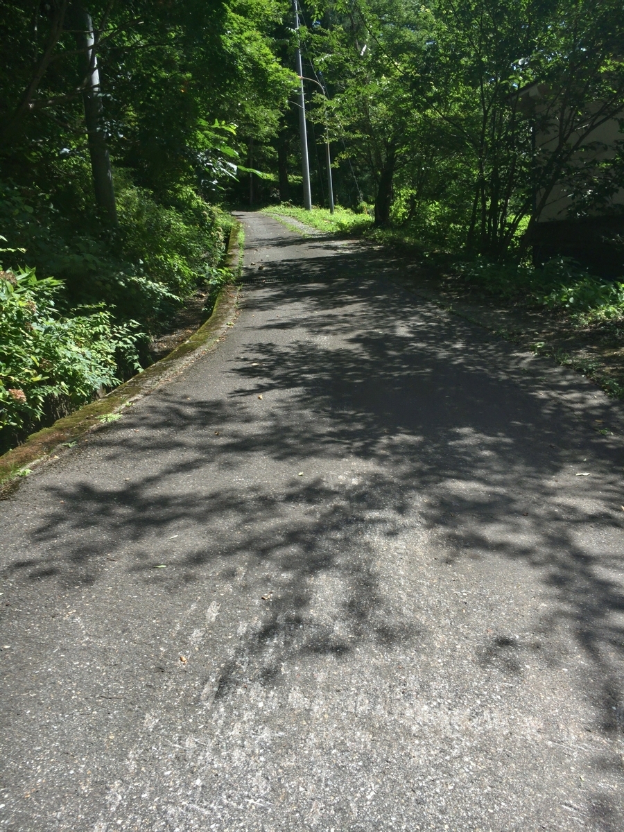 f:id:hiro989:20200620113302j:plain