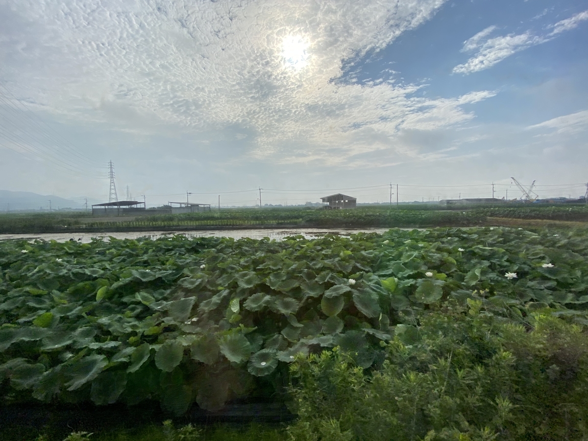 f:id:hiro989:20200816202626j:plain f:id:hiro989:20200816202626j:plain