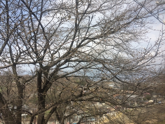 f:id:hiro989:20210425005113j:plain