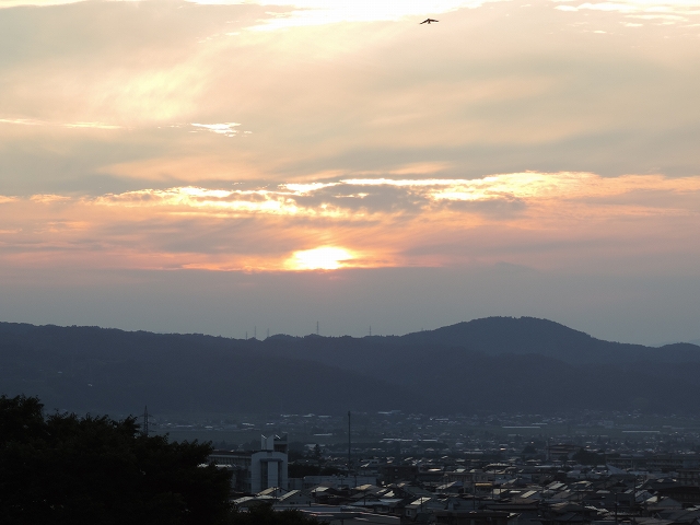 f:id:hiro989:20210513191720j:plain